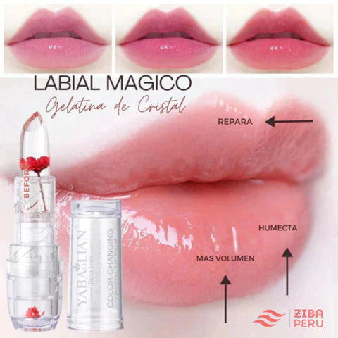 NUEVO LABIAL MAGICO 24 HORAS